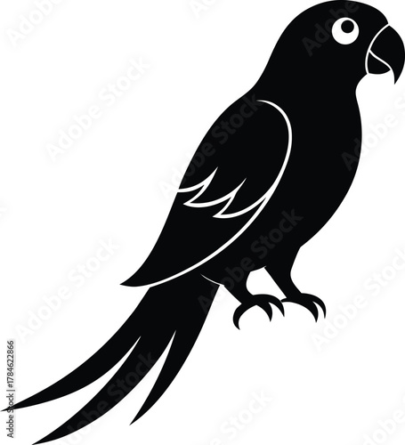 Parrot Silhouette