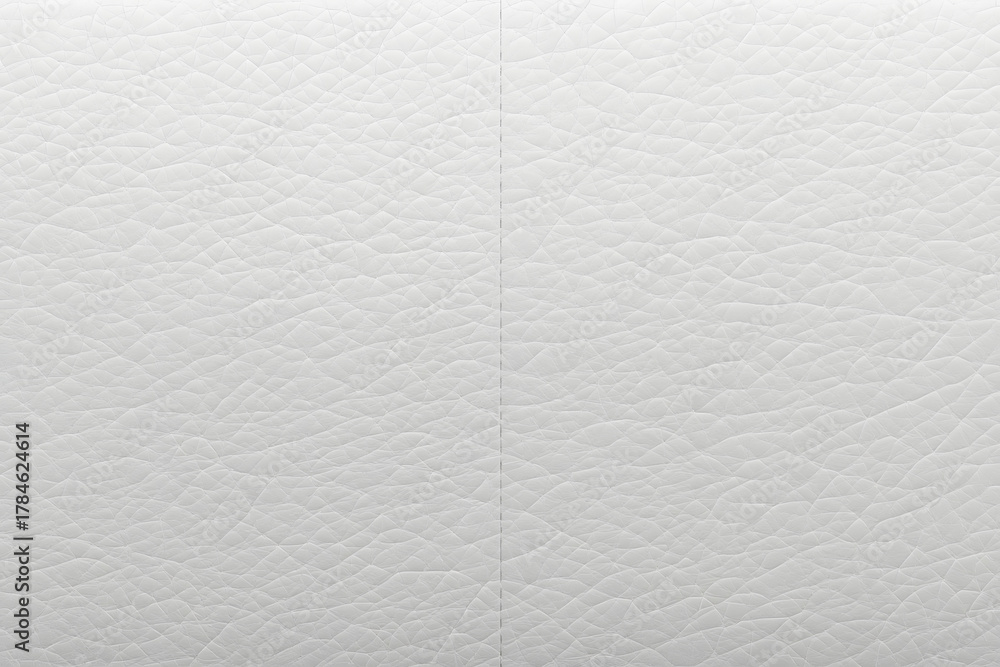 Obraz premium Leather Sofa Texture Seamless Background, White Leathers Upholstery Pattern