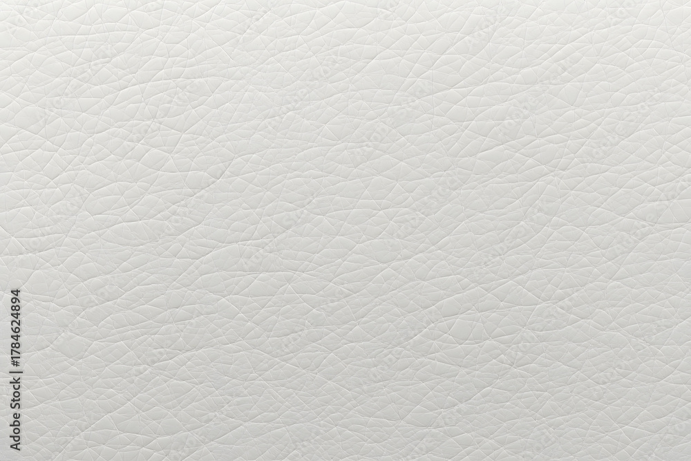 Obraz premium Leather Sofa Texture Seamless Background, White Leathers Upholstery Pattern