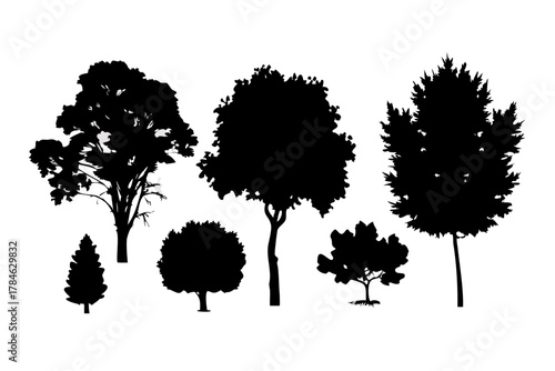 Abstract floral explosion with scattered petals vector