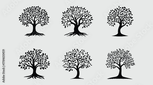 Six detailed black and white tree silhouettes with various root and leaf structures.