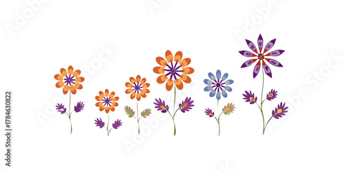 Colorful blooming flowers with purple and orange petals
