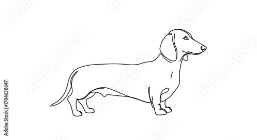 Minimalist line drawing of a dachshund dog standing in profile with a simple, elegant style on a white background