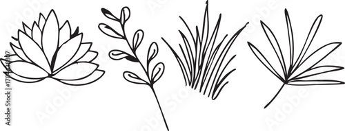 Botanical vector illustration: lotus flower, branch, grass, and palm leaf line art eps silhouette