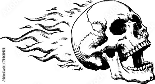 Vintage skull illustration with detailed outlines in a retro style. Features a flowing design and monochrome color scheme, perfect for creative projects. Vector illustration.