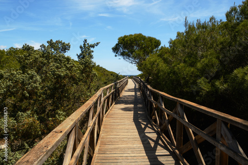 Fototapeta Naklejka Na Ścianę i Meble -  The area of Es Comú de Muro - a protected system of sand dunes (Mallorca, Spain)