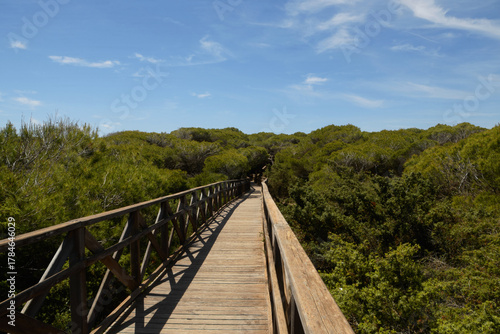 Fototapeta Naklejka Na Ścianę i Meble -  The area of Es Comú de Muro - a protected system of sand dunes (Mallorca, Spain)