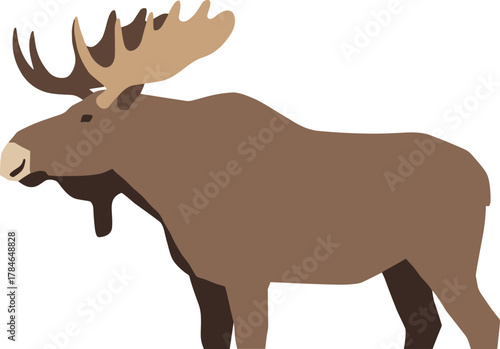 Flat Design Standing Moose Graphic Illustration Mammal Wildlife
