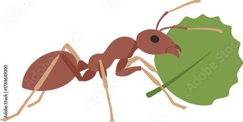 Simple Graphic Flat Style Ant Carrying Leaf Illustration Design