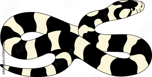 Simple Illustration of Black and White Striped Snake Animal Reptile
