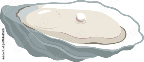 Simple Flat Illustration Fresh Oyster with Pearl Seafood Gastronomy