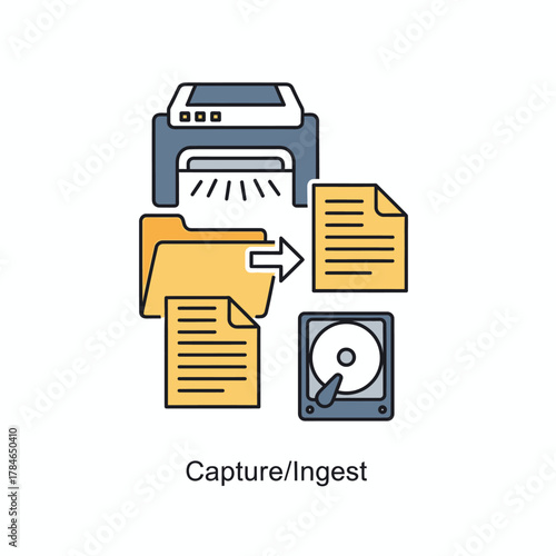Data Capture and Ingest Process Illustration.