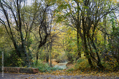Parklandschaft im Herbst mit bunten Bäumen und Wasser
