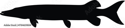 Northern pike fish silhouette vector illustration fishing design art eps