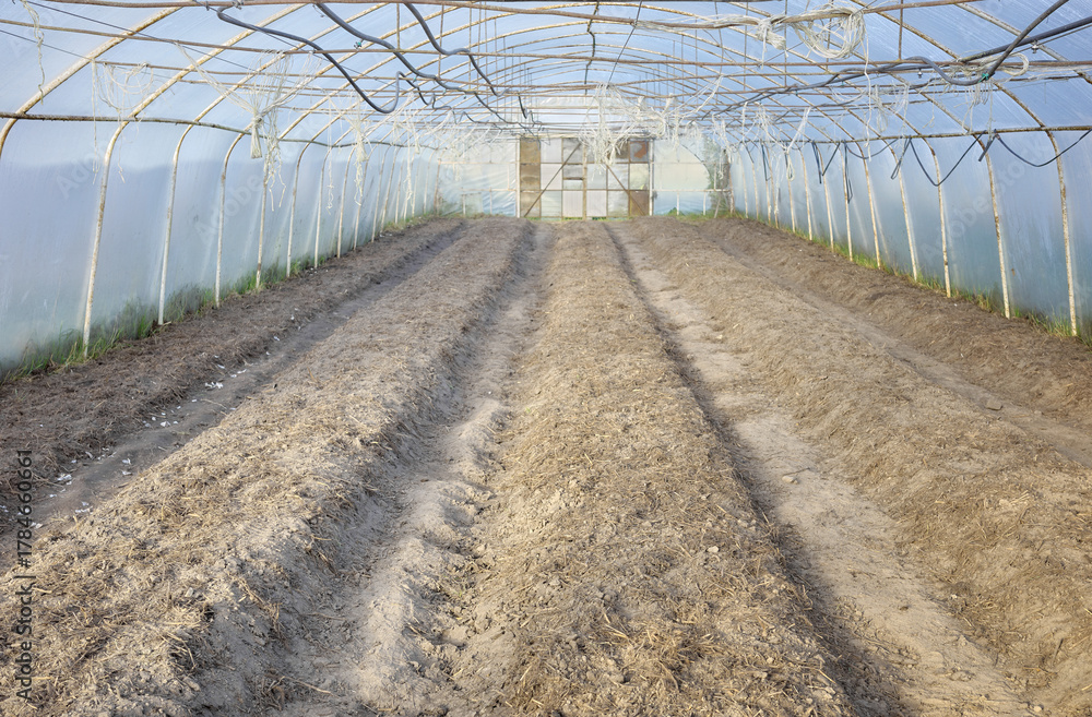 Obraz premium Interior of an empty organic vegetable greenhouse farm, focus on the soil.