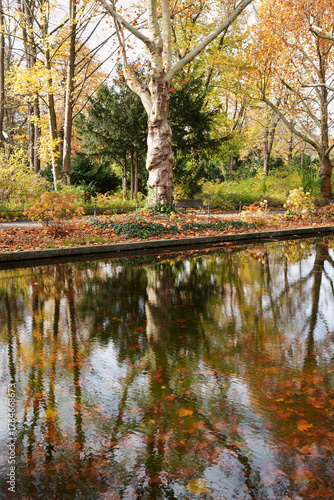 Parklandschaft im Herbst mit bunten Bäumen und Spiegelungen im Wasser
