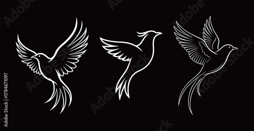 Set of three continuous white line art illustrations of elegant flying birds with detailed wings and long tails on a black background.