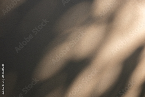 Abstract natural tree branch leaves shadow on beige wall background