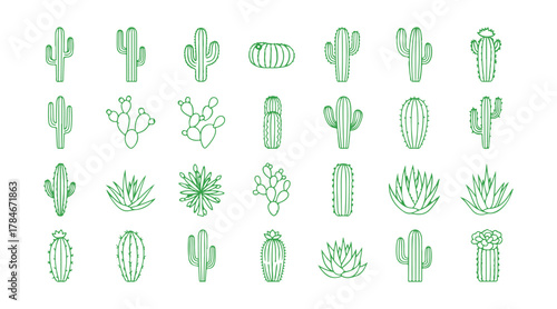 Wild cactus icons in a linear style. Succulents. A collection of cacti. Symbols with thin line contours. Isolated vector illustrations. Cactus icon set. Editable vector pictograms that are separate.