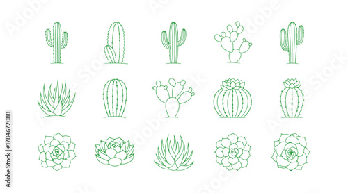 A set of linear icons featuring wild cacti. Succulents. A collection of cacti. Thin line contour symbols. Isolated vector outline illustrations. 