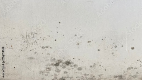 Macro close-up photograph of a white wall with mold growth and dark stains, showing a natural damp texture and weathered surface