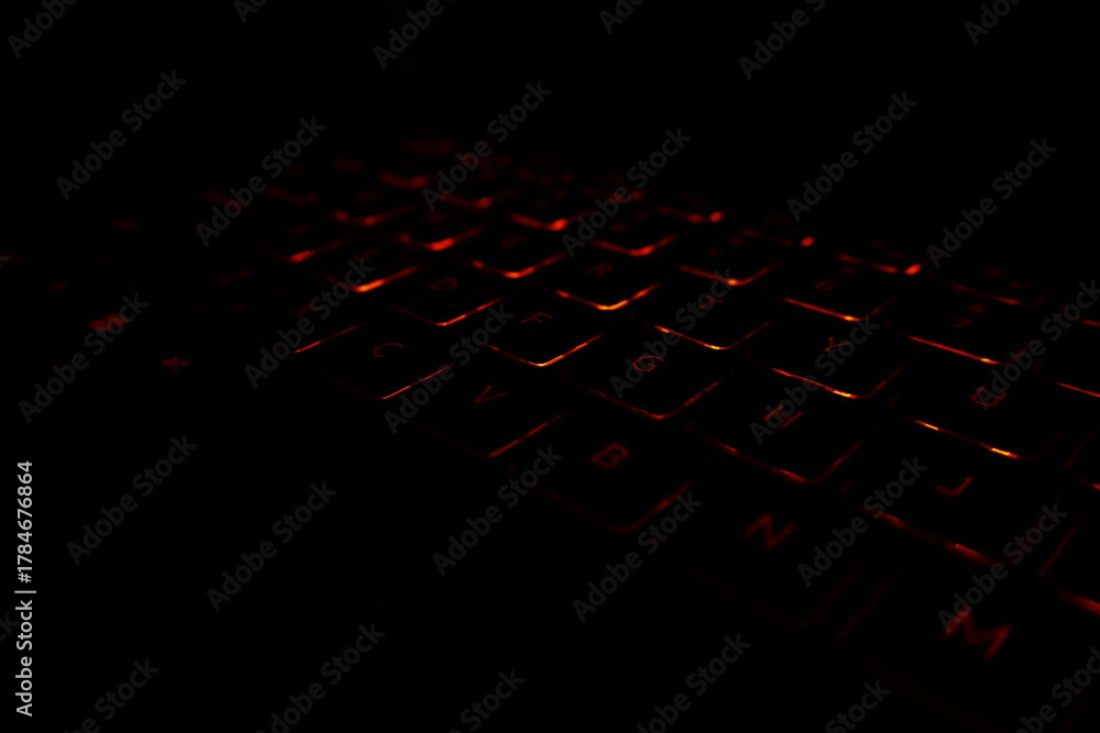 Fototapeta premium computer keyboard with red button