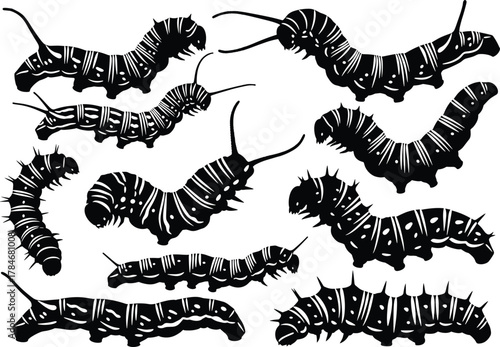 Caterpillar insect vector illustration set, black silhouette collection of crawling larvae and worms, detailed wildlife insect art, biology and nature 