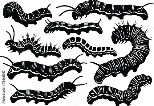 Caterpillar insect vector illustration set, black silhouette collection of crawling larvae, wildlife bug design, nature biology concept, detailed entomology artwork