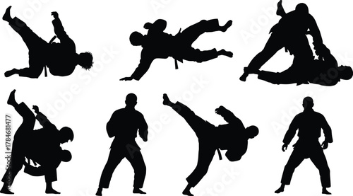 Martial arts silhouette, dynamic poses, judo throw, kick technique, grappling stance, combat training, athlete motion, discipline, action, strength