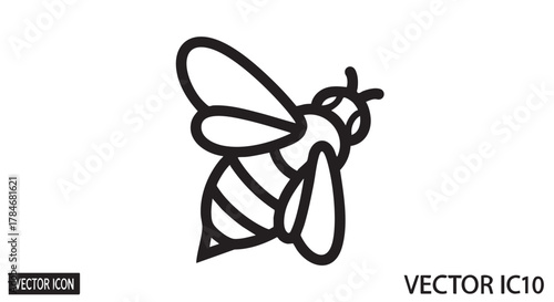 bee outline icon vector