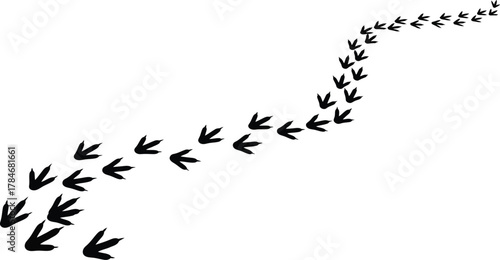 Paw print vector illustration animal track design for pet lovers art eps silhouette