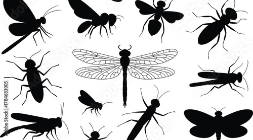 Collection of insect silhouettes vector illustration showing various flying and crawling bugs including dragonfly, ant, bee, mosquito, and beetle design.