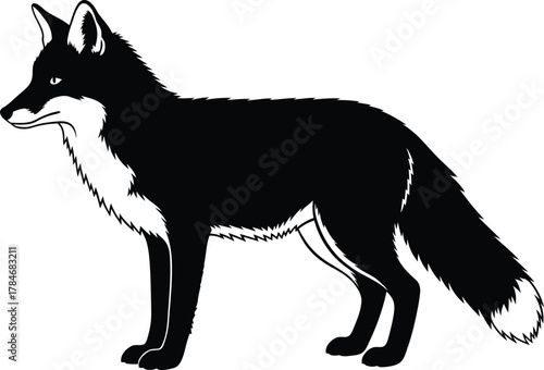 Black and white fox vector illustration wildlife animal design art eps silhouette