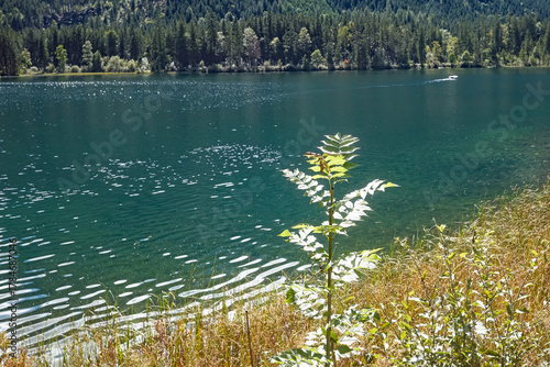 Stille am Hintersee