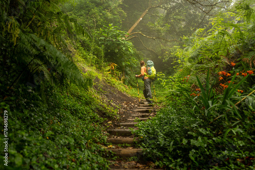 Explorer hiking through tropical jungle trail surrounded by vibrant vegetation in Madeira Island