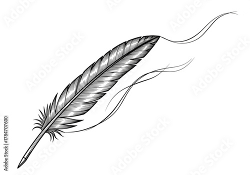 A detailed illustration of a quill pen