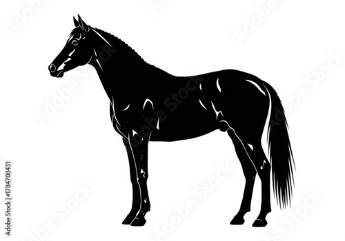 Black horse standing profile
