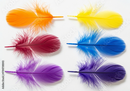 Six colorful feathers