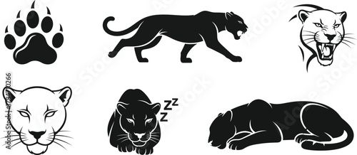 Dynamic set of black panther mascot illustrations and icons, featuring a paw print, roaring head, and various poses