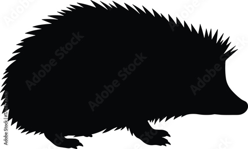 Black silhouette vector of a hedgehog with sharp quills, side profile animal illustration for wildlife, nature, and education content.