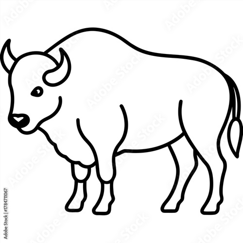 vector illustration of a black and white bull