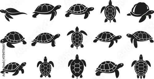 Set of black turtle silhouettes. Collection of vector tortoise icons shown in various poses and angles for graphic design elements