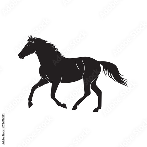 Illustration of a horse in black and white