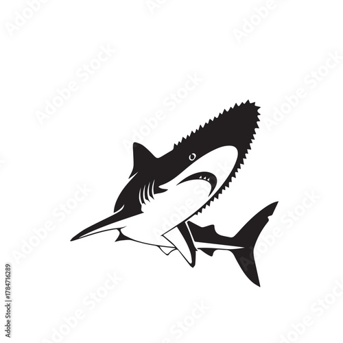 Illustration of a shark, a dangerous sea creature