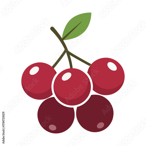 a minimalist modern vector icon of a cranberry bunch, using ruby red, deep maroon, and pine green hues, isolated on a solid white background.