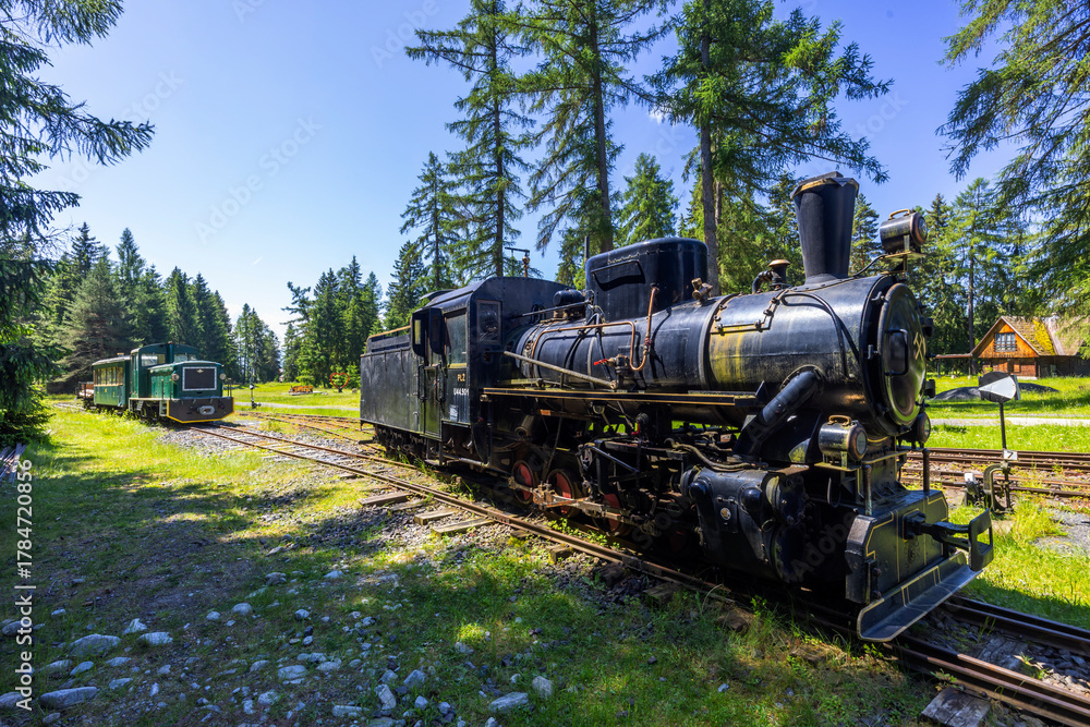 Obraz premium Historical steam and diesel locomotives in Pribylina forest