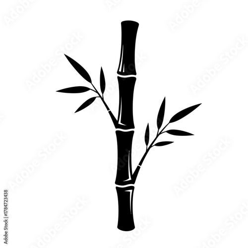 bamboo isolated on white