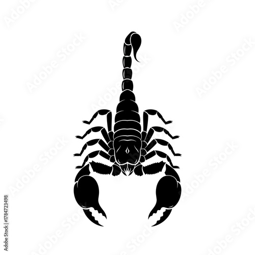 scorpion isolated on white background