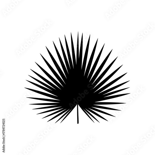 abstract black and white background