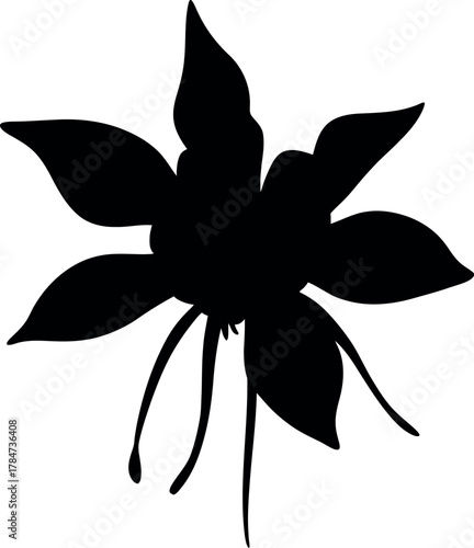 Black columbine flower silhouette blossom
